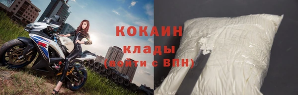 шишки Майский