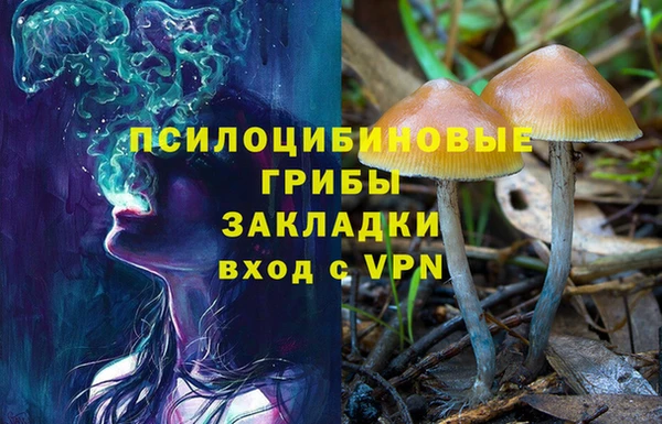 молекула духа Магас