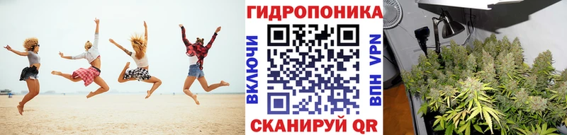 Бошки Шишки LSD WEED  как найти закладки  Тбилисская 